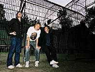 Das Pop