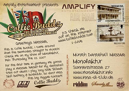 colli buddz Backside