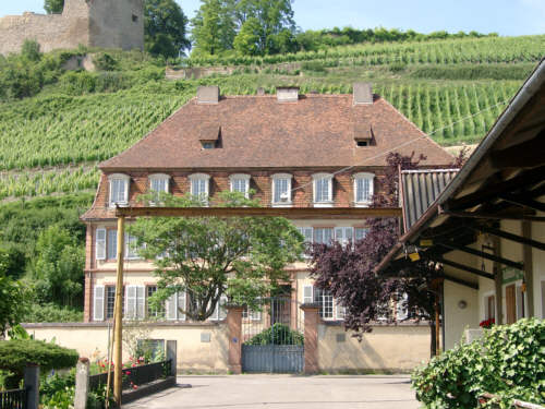 Schlosskeller